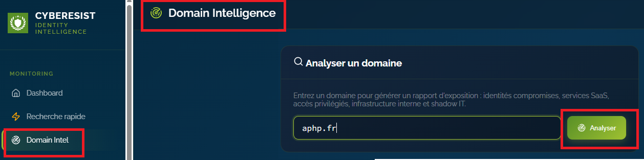 Interface Domain Intelligence — formulaire d'analyse de domaine
